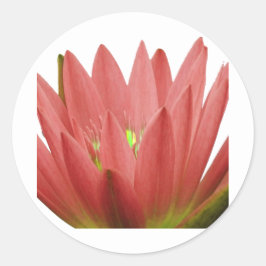 Tulp Ronde Sticker