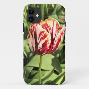 Tulp rood en wit Case-Mate iPhone case