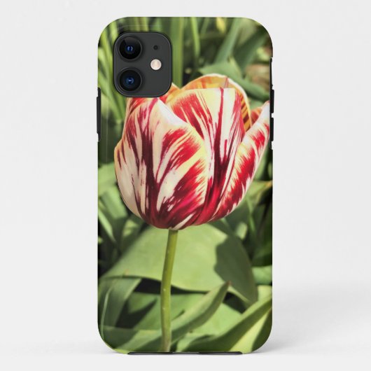 Tulp rood en wit Case-Mate iPhone case (Achterkant)