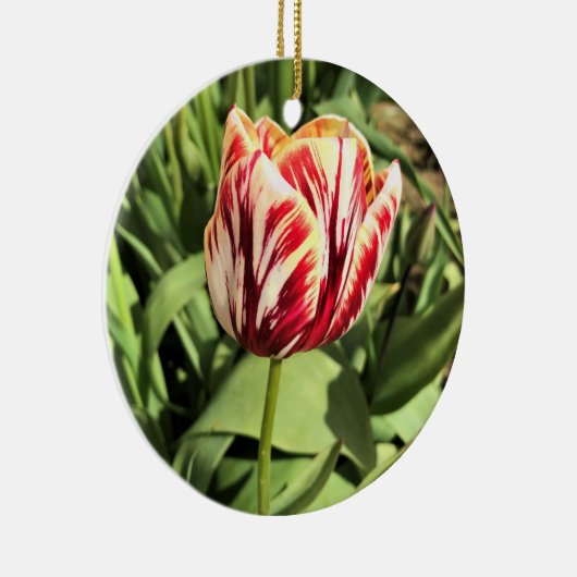Tulp rood en wit keramisch ornament (Rechts)