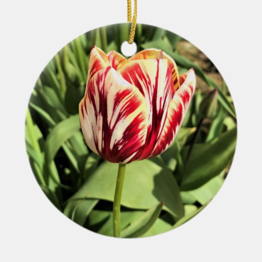 Tulp rood en wit keramisch ornament (Voorkant)