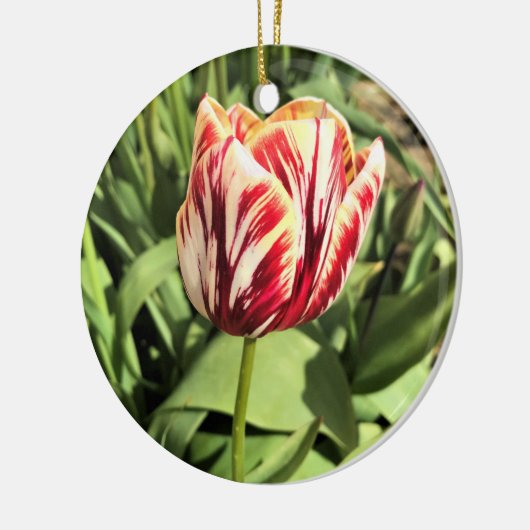 Tulp rood en wit keramisch ornament (Links)