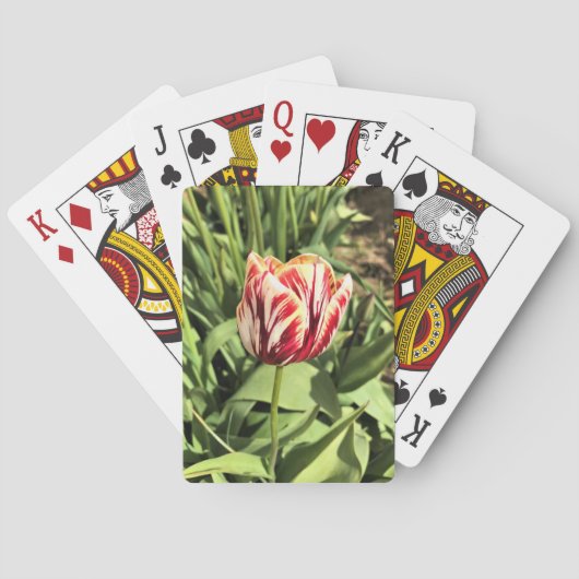 Tulp rood en wit pokerkaarten (Achterkant)