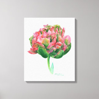 Tulp roze groen Botanische waterverf Canvas Afdruk