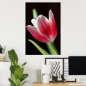 Tulp rustig poster (Thuiskantoor)