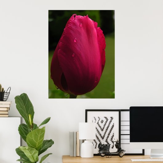 Tulp Shower Poster (Thuiskantoor)