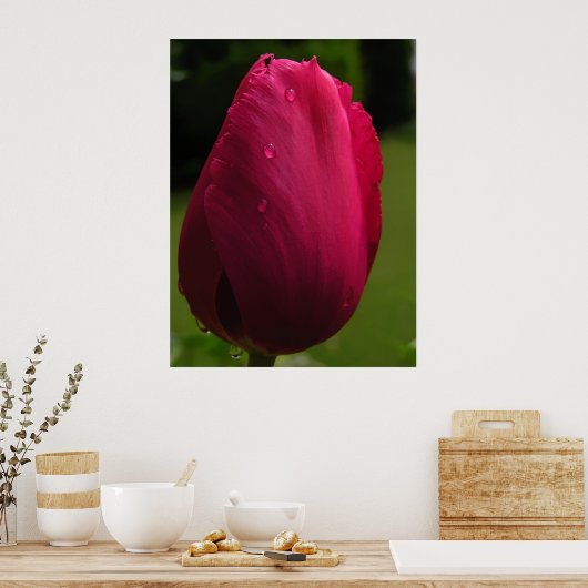 Tulp Shower Poster (Keuken)