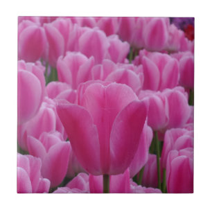 Tulp Small (4,25 x 4,25 inch) keramische Tegel Tegeltje