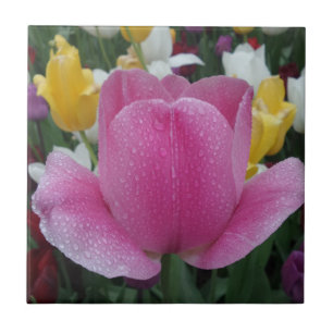 Tulp Small (4,25 x 4,25 inch) keramische Tegel Tegeltje