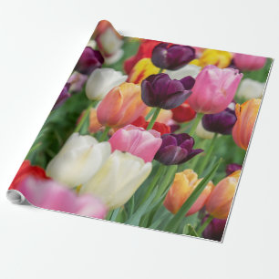 Tulp Spring Flowers Garden Floral Geel Roze Rood Cadeaupapier