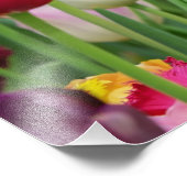 Tulp Spring Flowers Garden Floral Geel Roze Rood Foto Afdruk (Hoek)