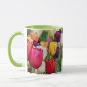 Tulp Spring Flowers Garden Floral Geel Roze Rood Mok