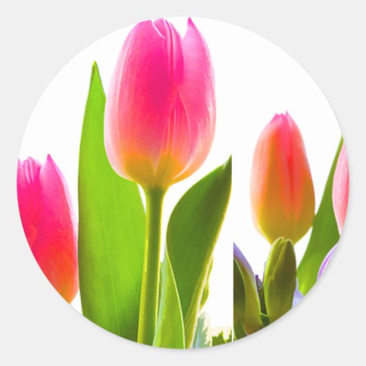 Tulp-Sticker Ronde Sticker (Voorkant)
