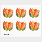 Tulp Stickers (Vel)