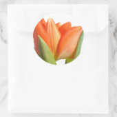 Tulp Stickers (Tas)