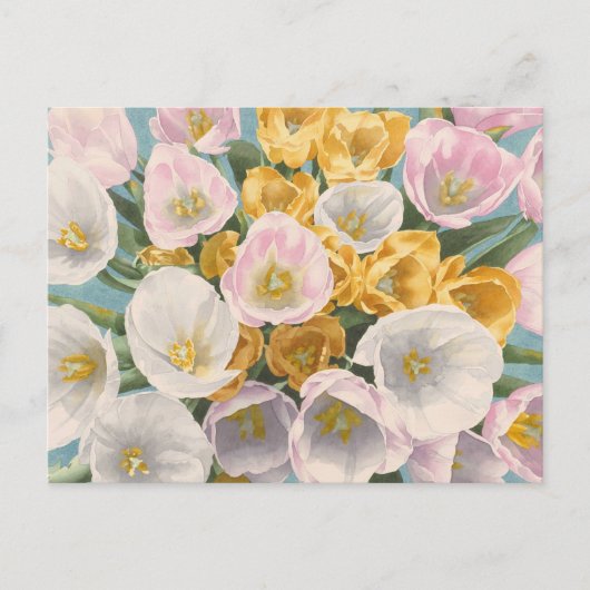 Tulp Tantrum briefkaart (Voorkant)