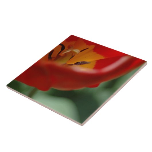 Tulp Tegeltje (Zijkant)