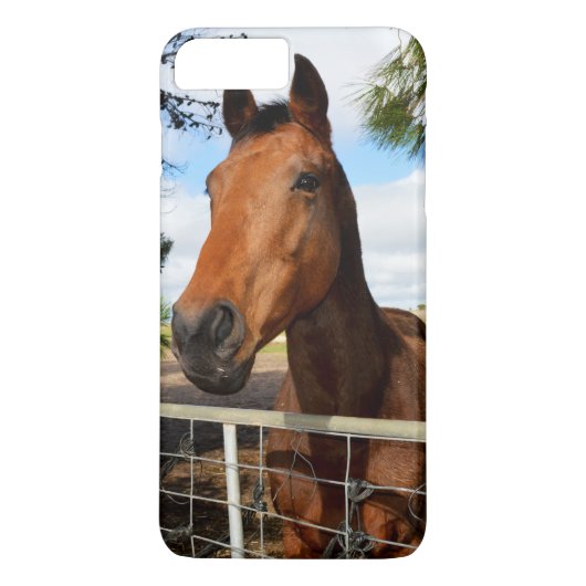Tulp The Brown Bay Horse Case-Mate iPhone Case (Achterkant)