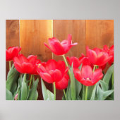 Tulp tijd poster (Voorkant)