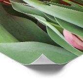 Tulp tijd poster (Hoek)