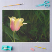 Tulp Tissuepapier (Craft)