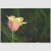 Tulp Tissuepapier (Voorkant)