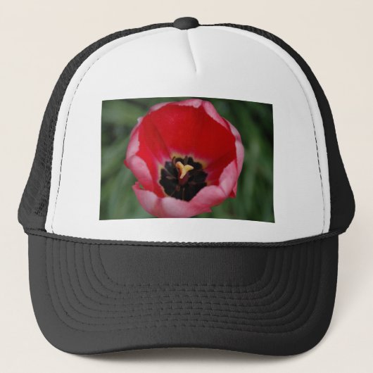 Tulp Trucker Pet (Voorkant)