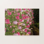 Tulp tuin! legpuzzel (Horizontaal)