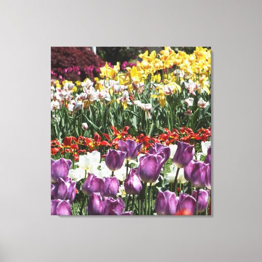 Tulp Tuin Verpakt Canvas Print (Voorkant)