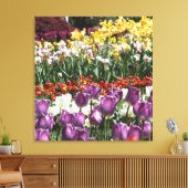 Tulp Tuin Verpakt Canvas Print (Insitu (Woonkamer))