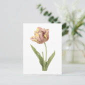 Tulp (Tulipa culta) van Redouté Briefkaart (Staand voorkant)