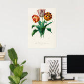 Tulp van Didier (Tulipa gesneriana) Poster (Thuiskantoor)