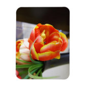 Tulp van zijde magneet (Verticaal)