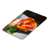 Tulp van zijde magneet (Linkerzijde)