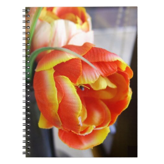 Tulp van zijde notitieboek (Voorkant)