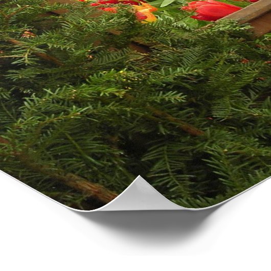 Tulp vensterafdruk poster (Hoek)