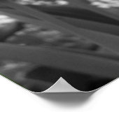 Tulp voor uitstand poster (Hoek)