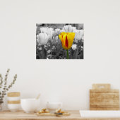 Tulp voor uitstand poster (Keuken)
