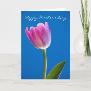 Tulp, vrolijke Moederdag Kaart