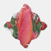 Tulp waterdruppels ventilator uit de voorverpakkin bedankdoosjes (Uitgevouwen)