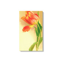 tulp Waterverf kantelen links