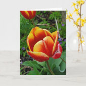 Tulp wenskaart kaart (Gele Bloem)
