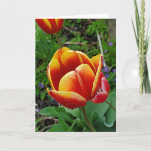 Tulp wenskaart kaart