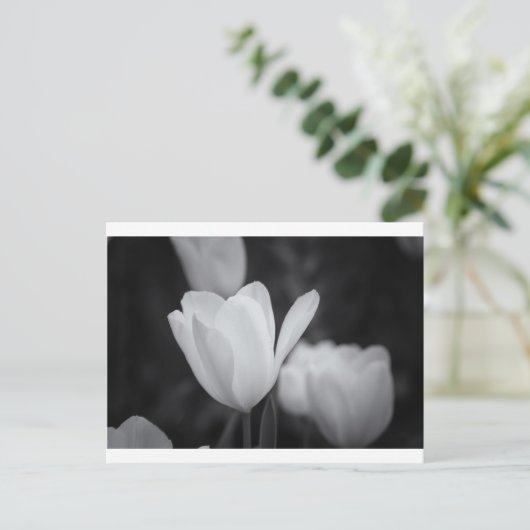 Tulp zwart-wit briefkaart (Staand voorkant)