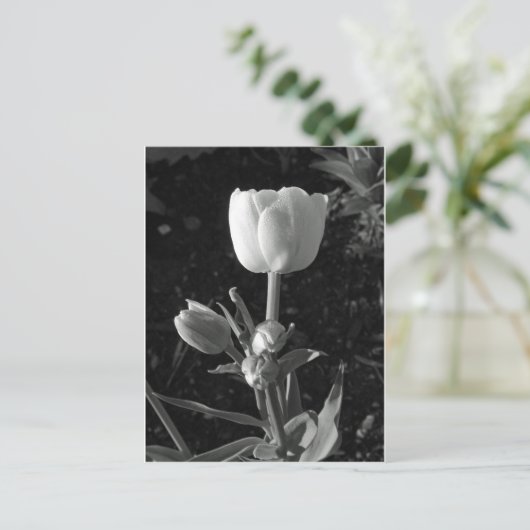 Tulp zwart-wit briefkaart (Staand voorkant)