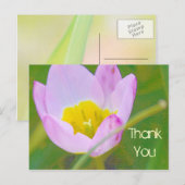 tulpbloem dank je blanco kaart (Voorkant / Achterkant)