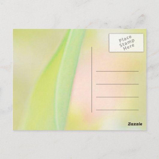 tulpbloem dank je blanco kaart (Achterkant)