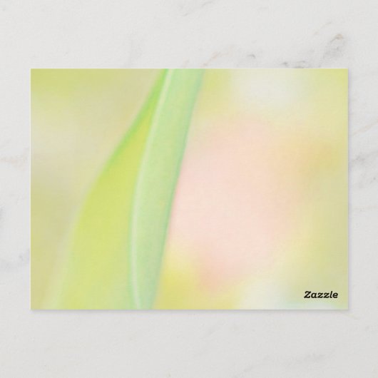 tulpbloem dank je blanco kaart (Achterkant)