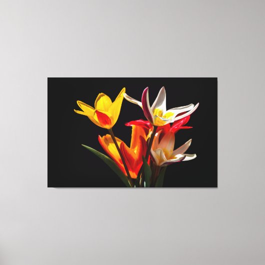 Tulpbloemen tegen zwarte achtergrond canvas afdruk (Voorkant)