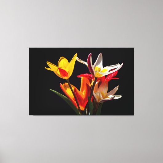 Tulpbloemen tegen zwarte achtergrond canvas afdruk (Voorkant)